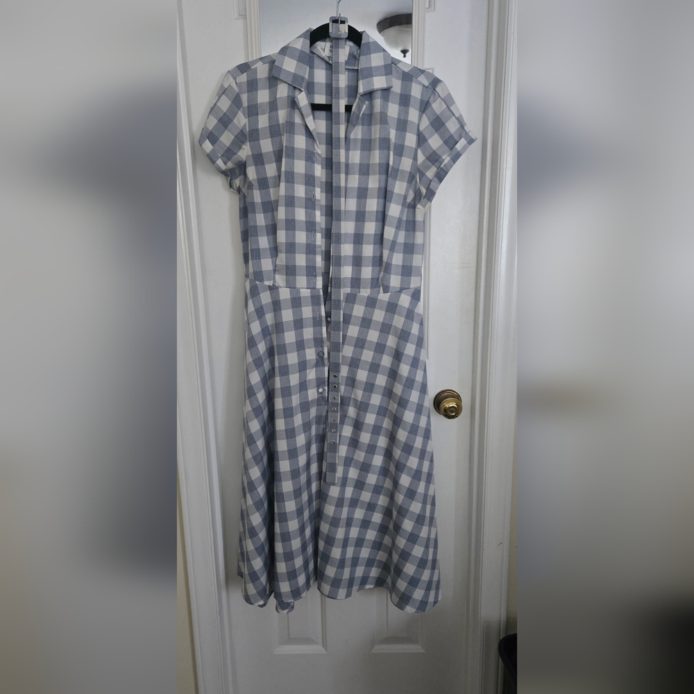Blue Gingham Shirtdress